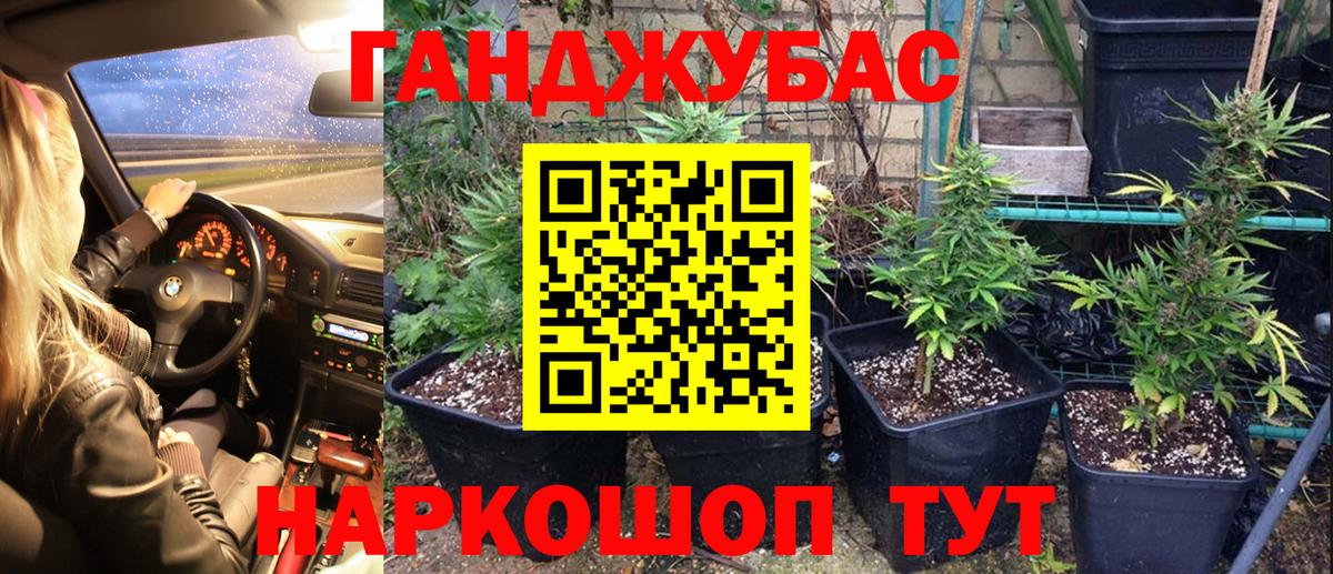 Бошки марихуана THC 21%  Конопля THC 21%  Каннабис THC 21%  Сатка  Вход с VPN 